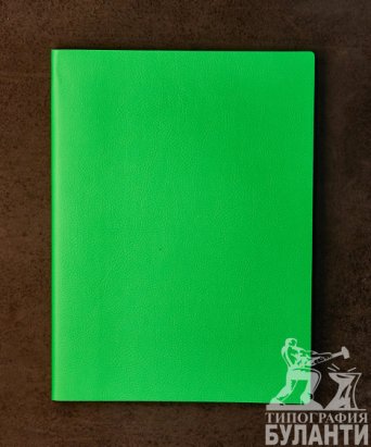 Ежедневник In Colour Neon (Зеленый неон) Ежедневник In Colour Neon (Зеленый неон)