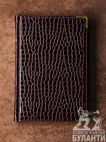 Ежедневник Iguana Ежедневник Iguana