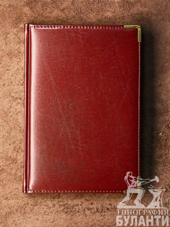 Ежедневник Status (Коричневый) Ежедневник Status (Коричневый)