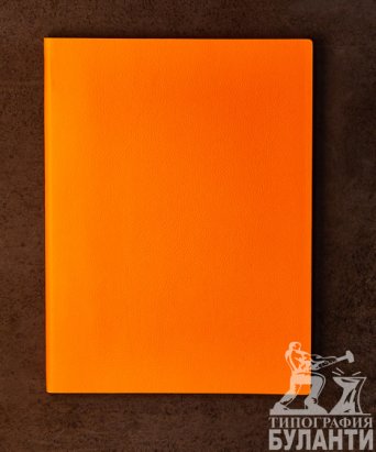 Ежедневник In Colour Neon (Оранжевый неон) Ежедневник In Colour Neon (Оранжевый неон)