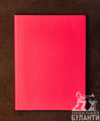 Ежедневник In Colour Neon (Розовый неон) Ежедневник In Colour Neon (Розовый неон)